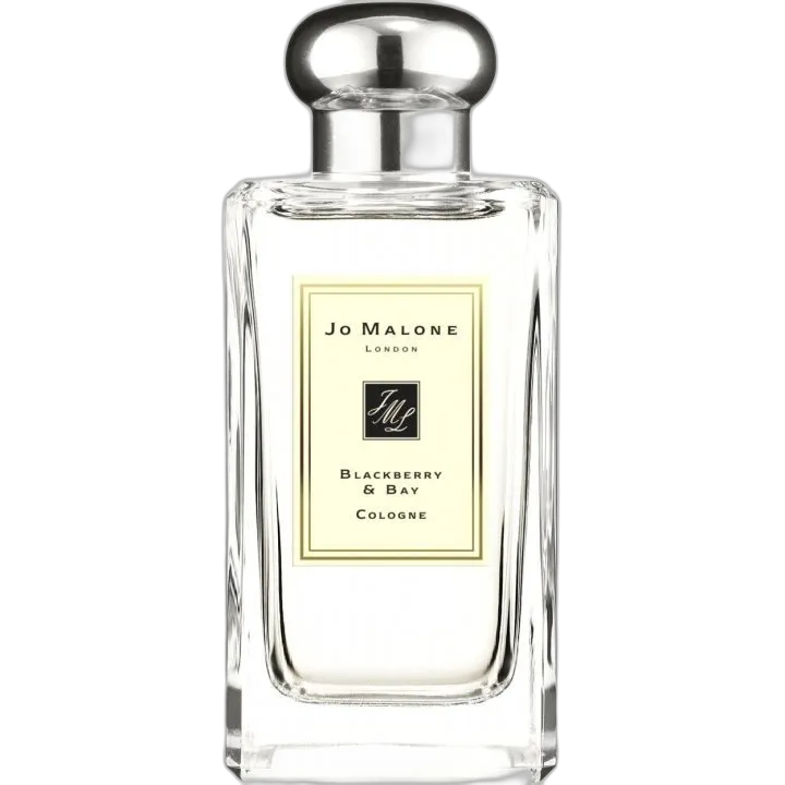Image of Blackberry & Bay fragrance